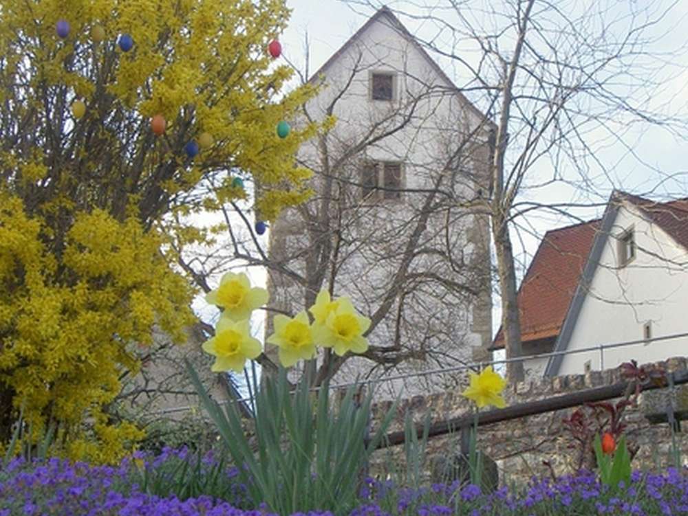 Schloss mit Heimatmuseum